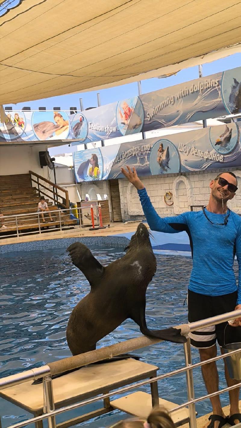 Alanya Ve Side Çıkışlı Yunus Ve Fok Gösterisi