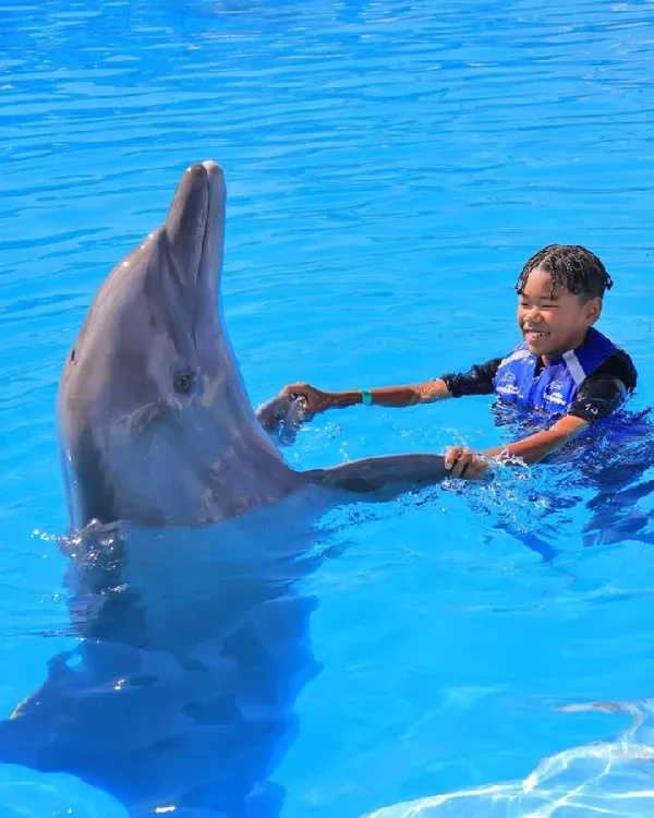 upload-turlar-16-thumbs-swimming-with-dolphins-in-alanyawebp